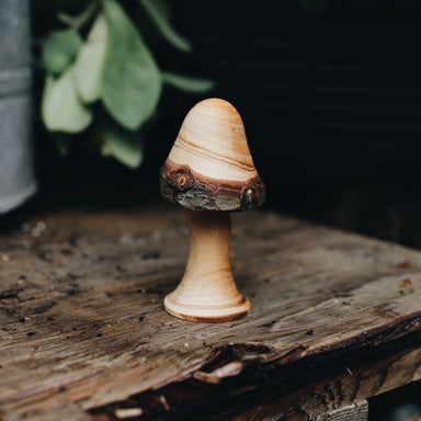 Wood Carved Treasures | mushrooms & spin tops