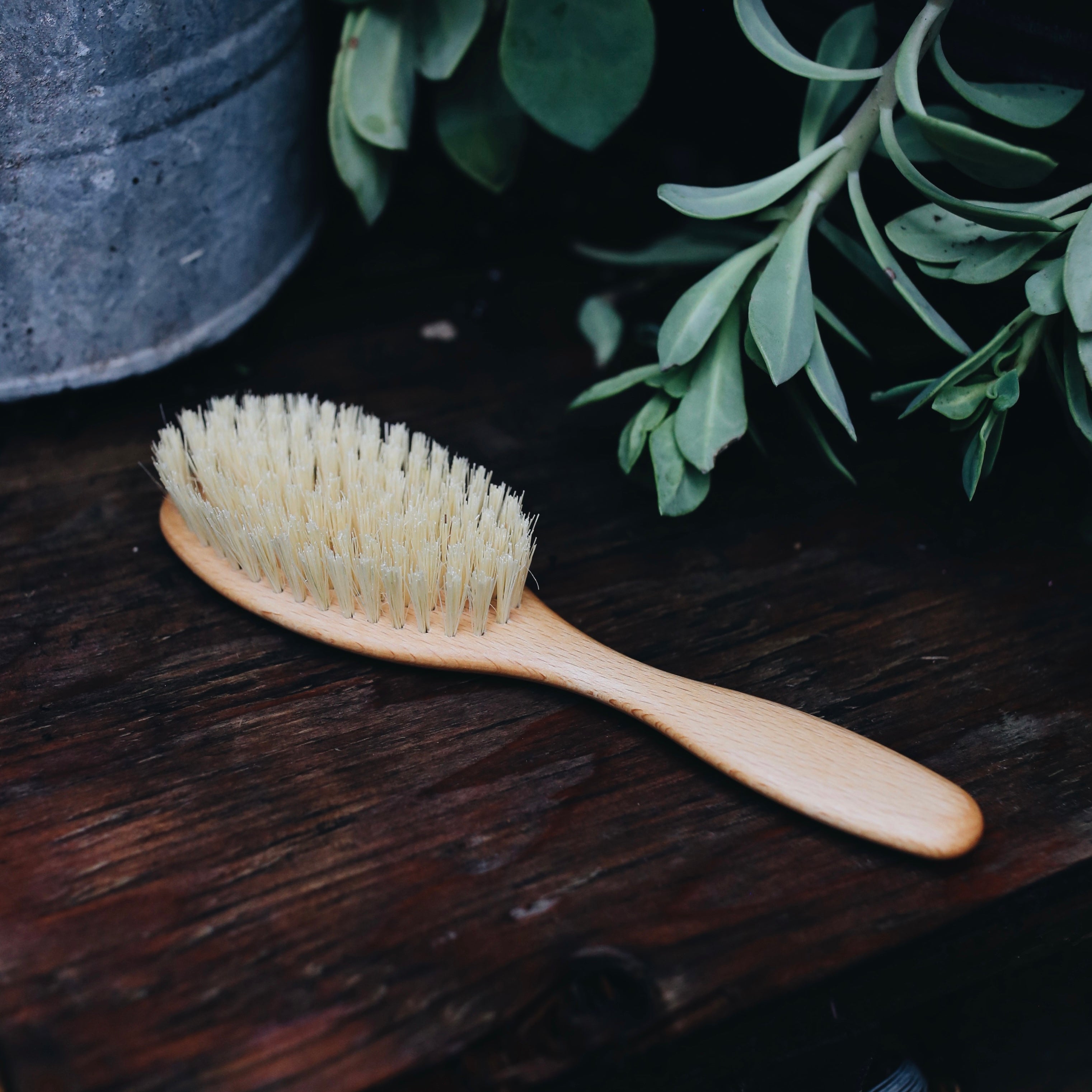 Plastic Free Hairbrushes