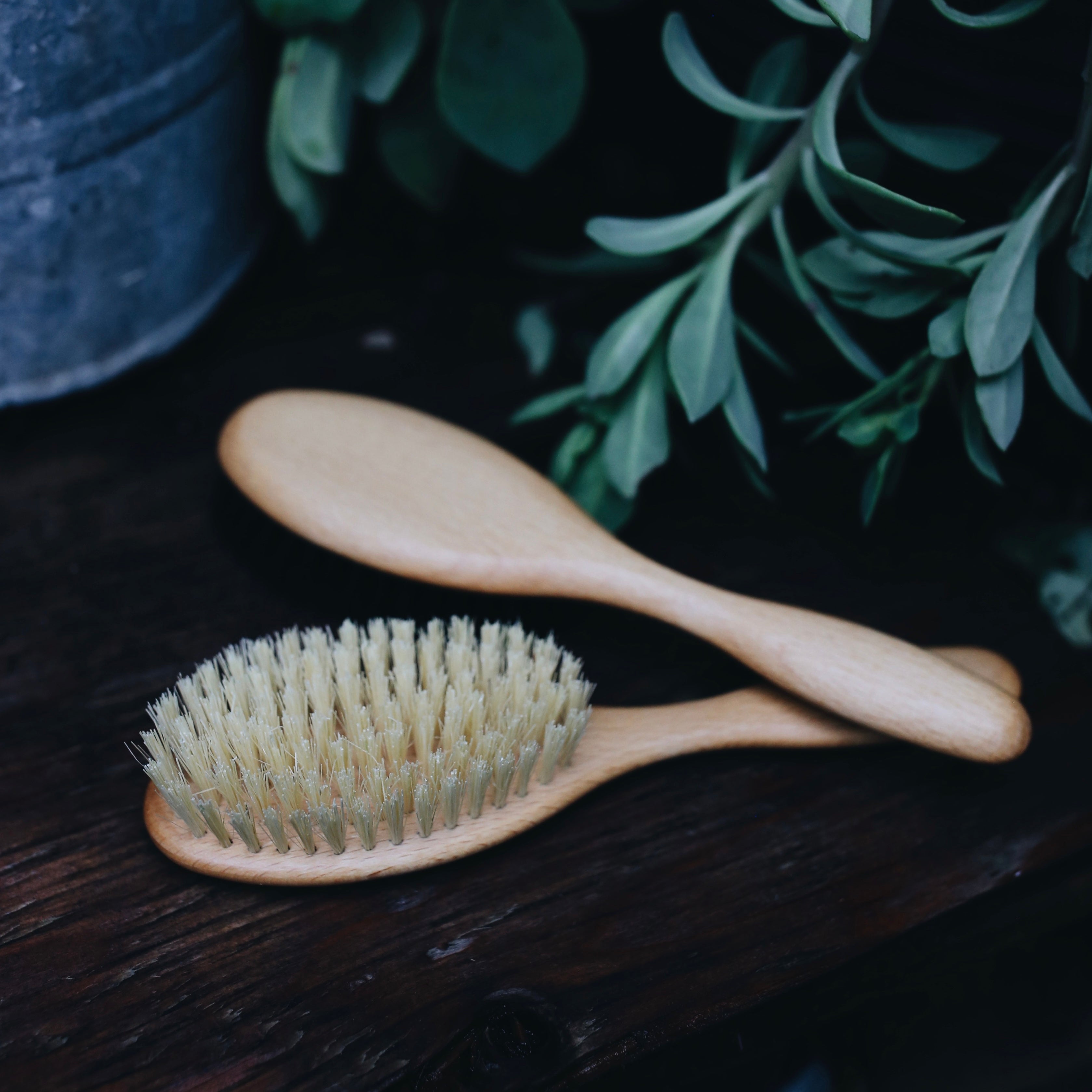 Plastic Free Hairbrushes