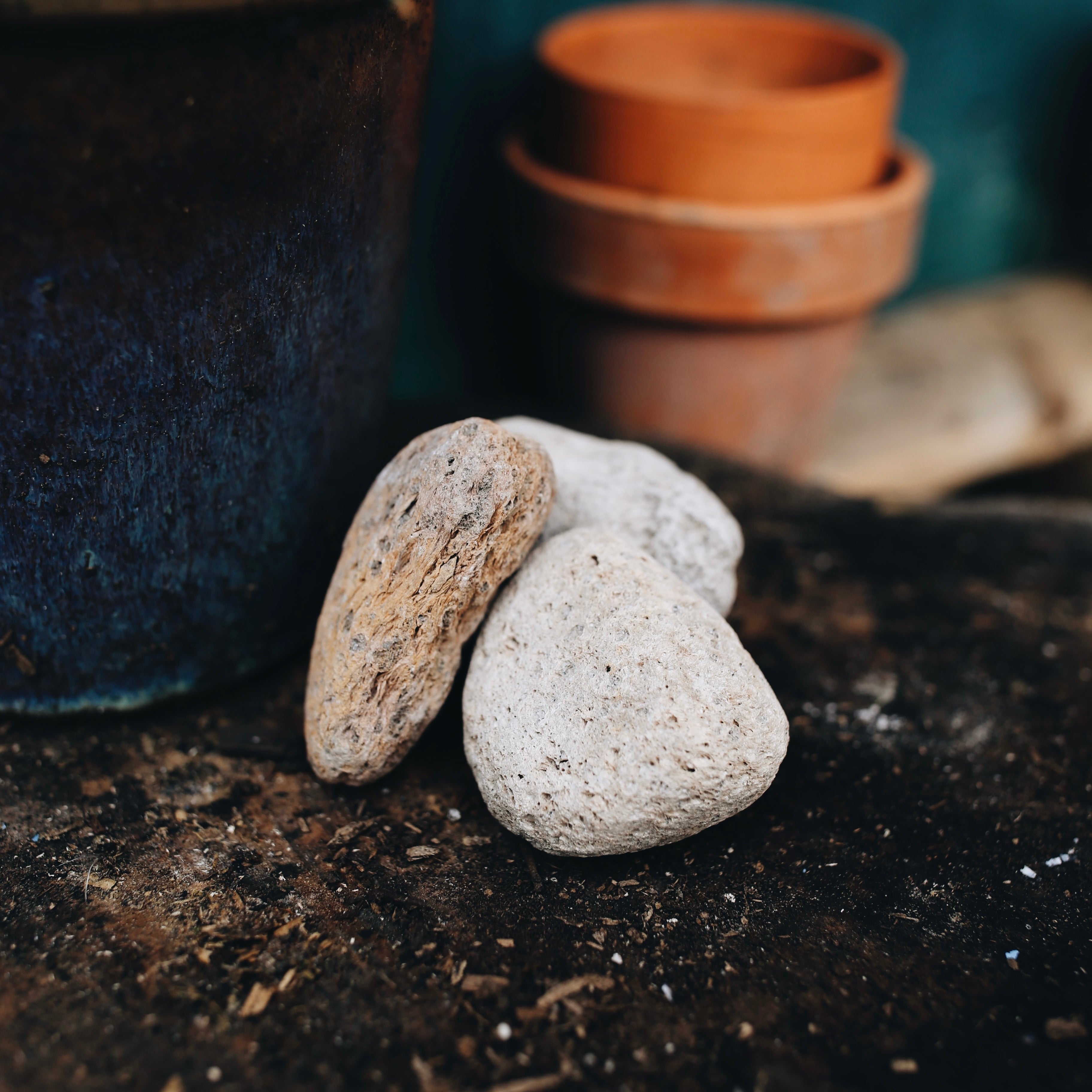 Pumice Stone