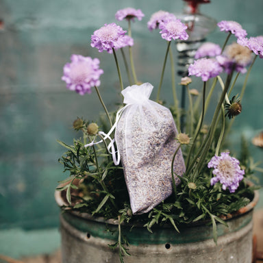 Lavender Flowers