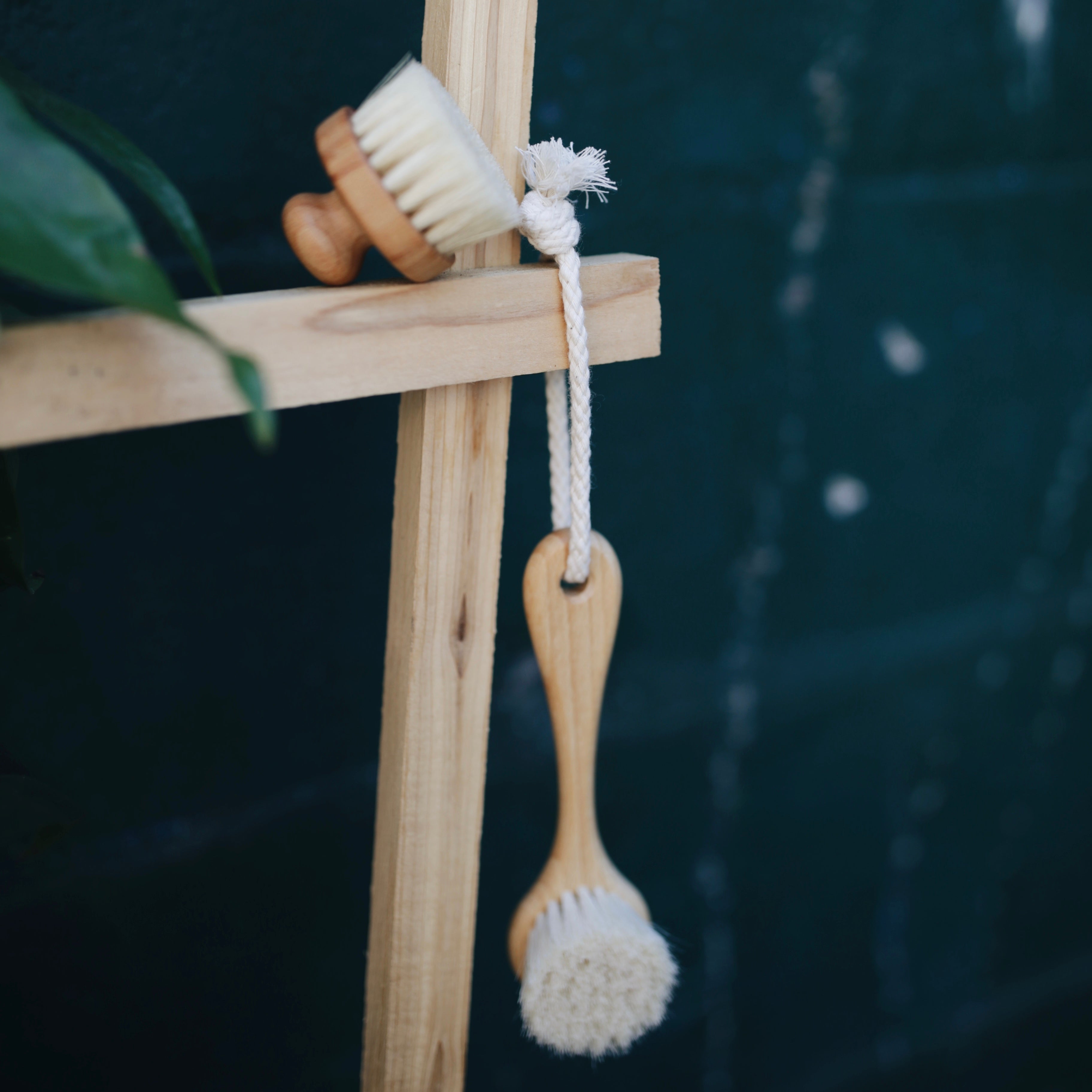 Facial Scrubbing Brush