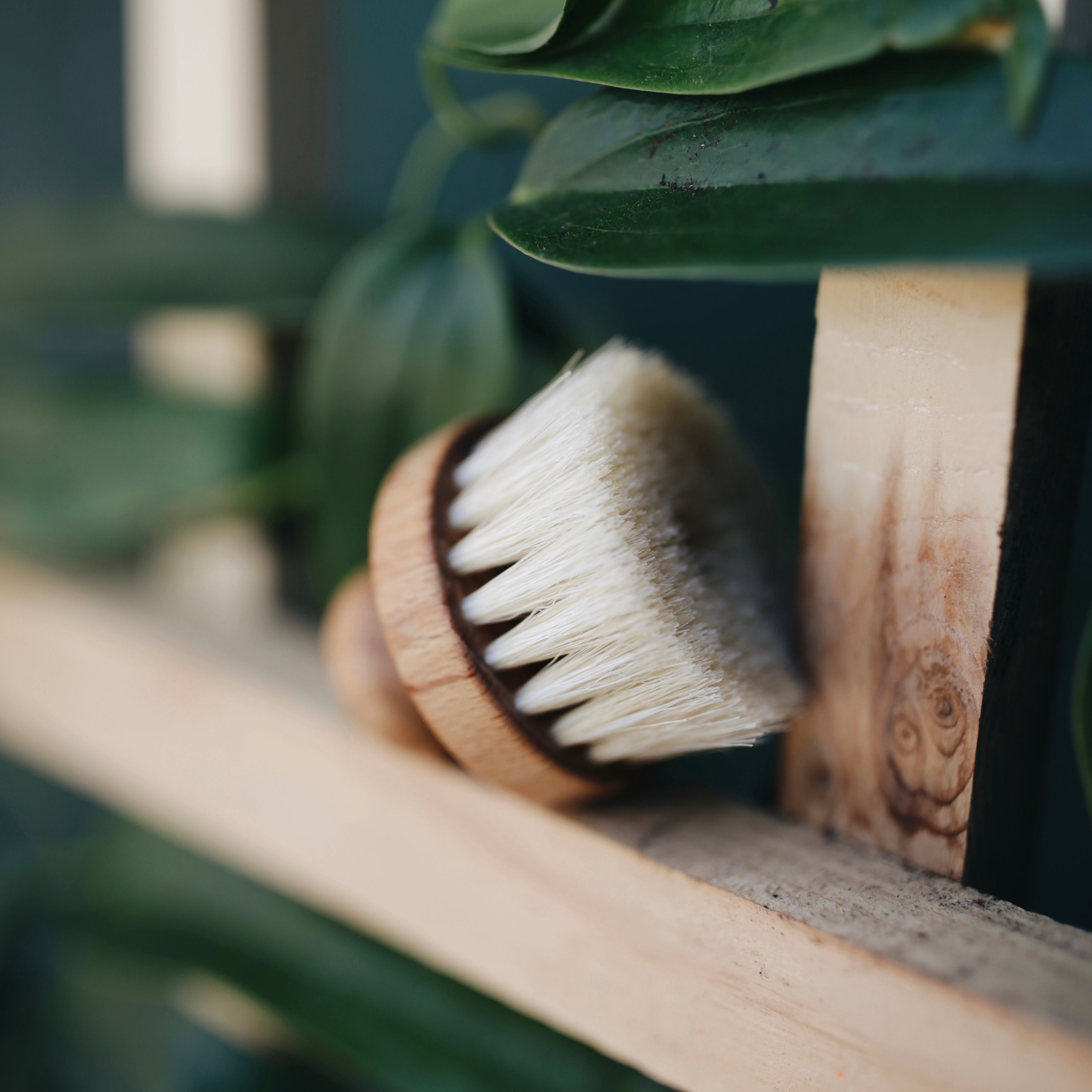 Facial Scrubbing Brush