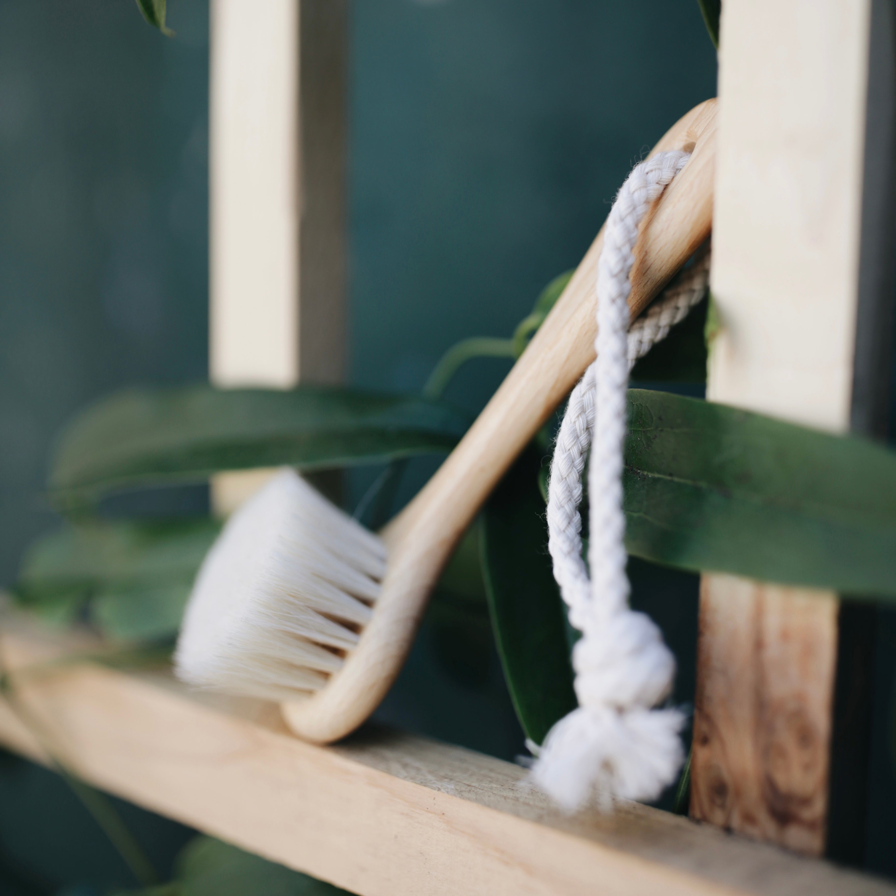 Facial Scrubbing Brush