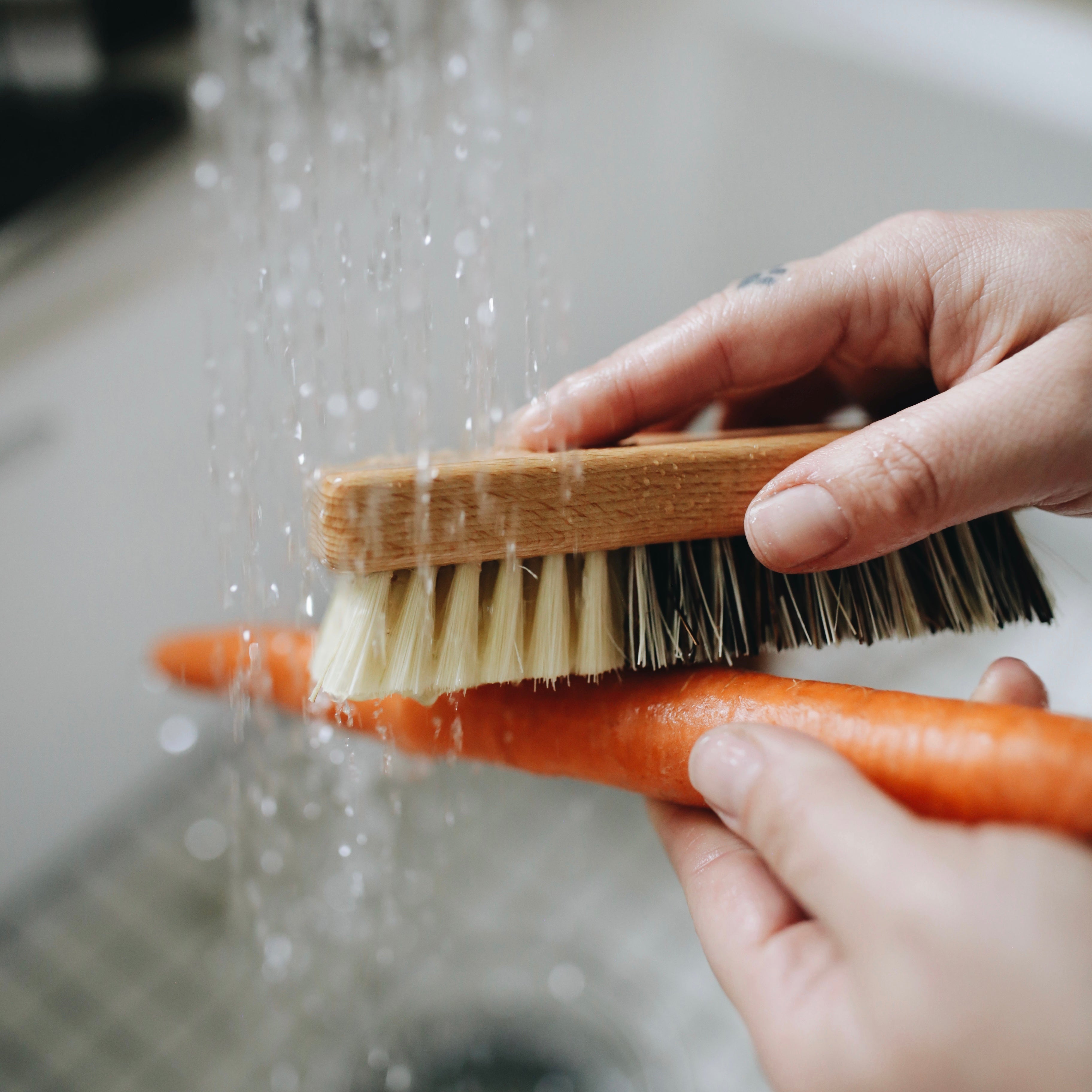 Vegetable Brush