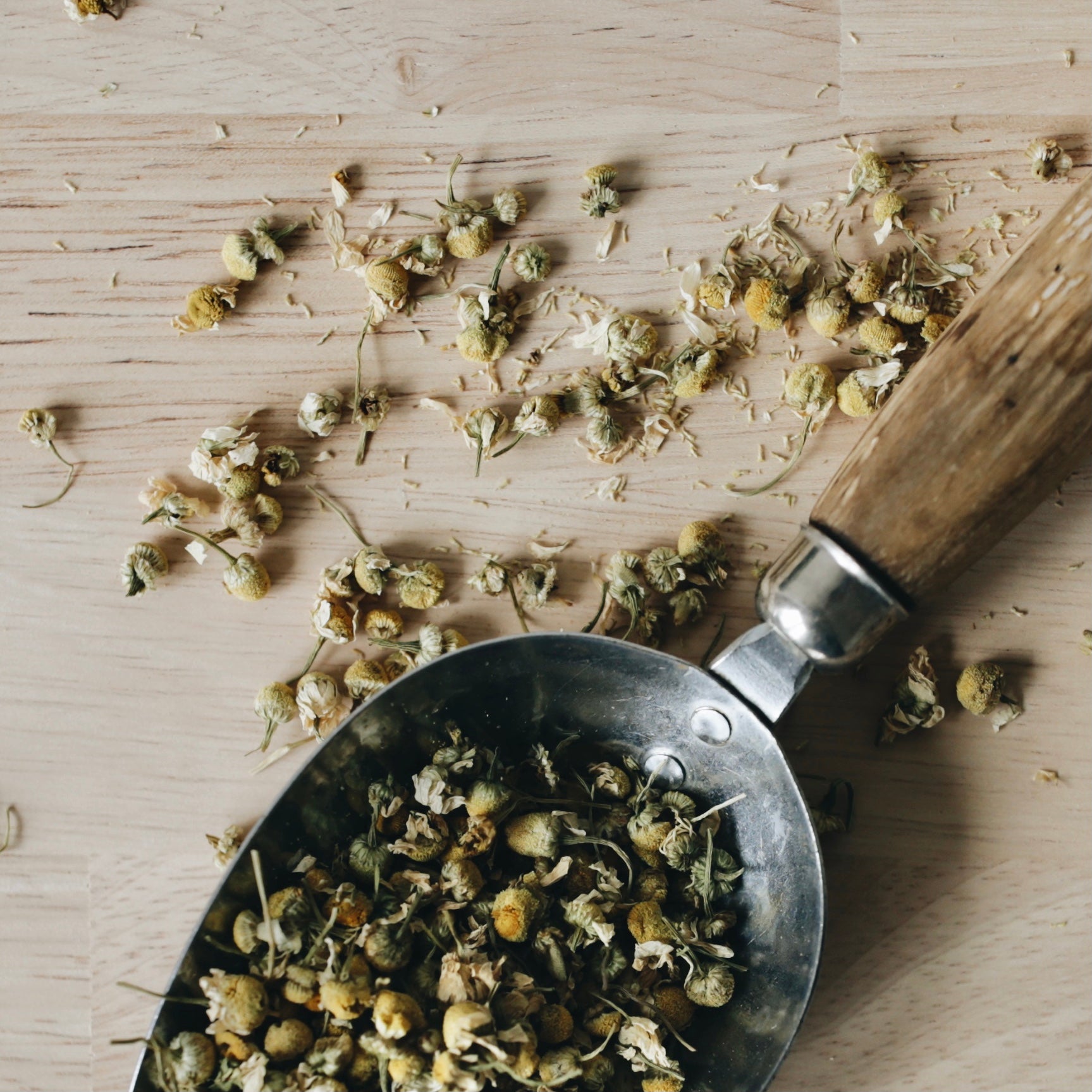 Chamomile Flowers