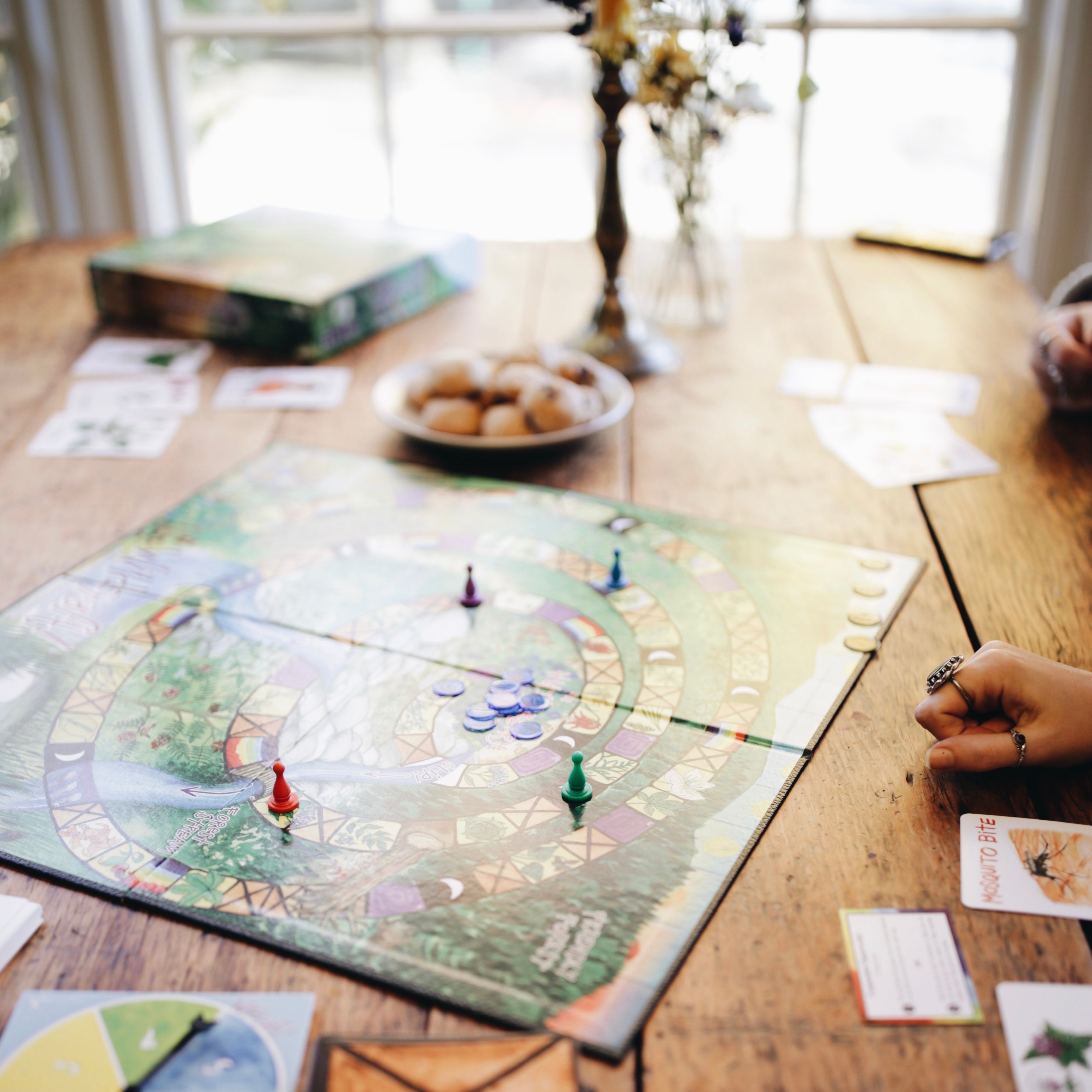 Wildcraft Board Game