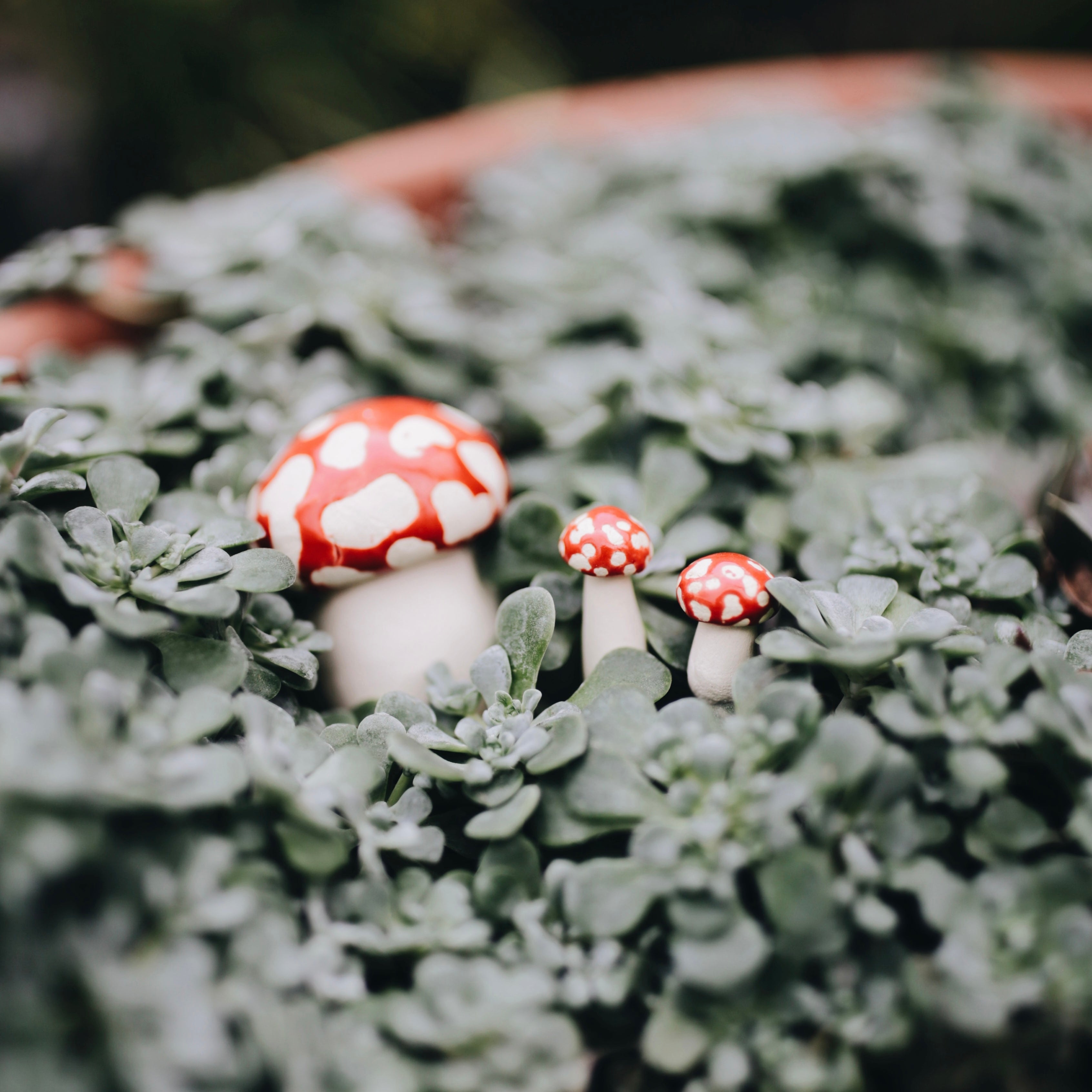 Handpicked Ceramic Mushrooms