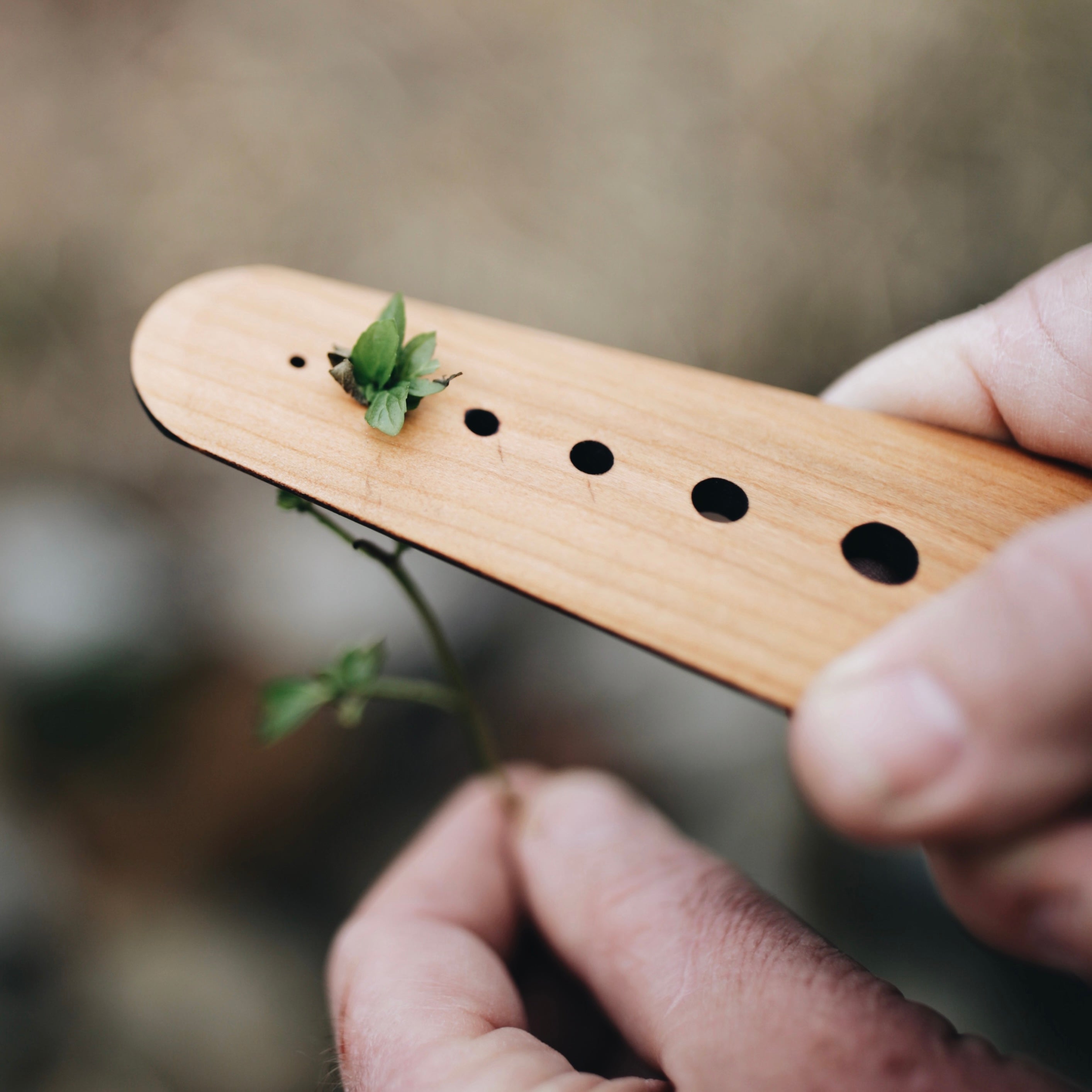 Herb Stripper