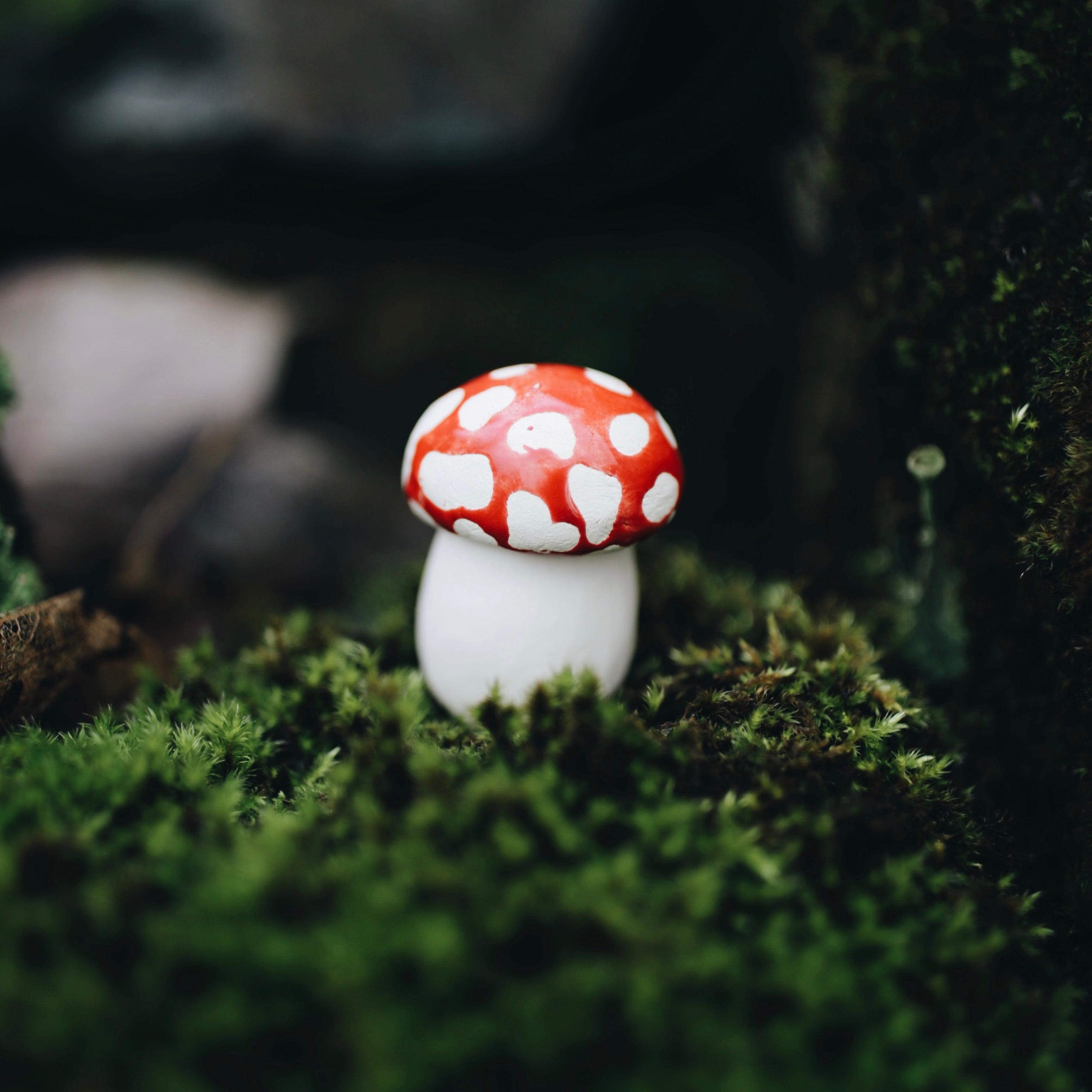 Handpicked Ceramic Mushrooms