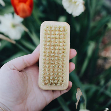 Wooden Nail Brush